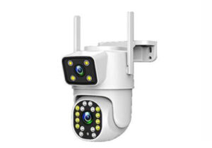 NE-Q10W