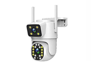 NE-Q10W